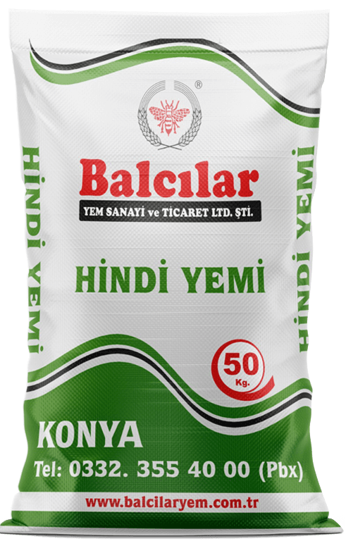 Hindi Yemi